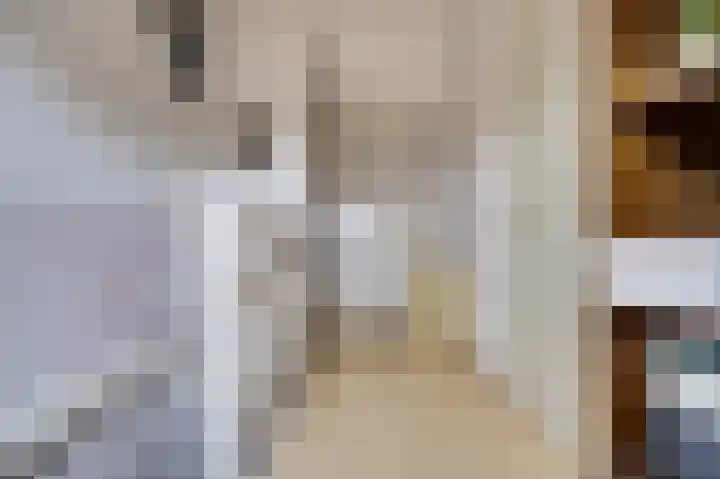 Steentijdkreek 9 Spijkenisse thumbnail 23