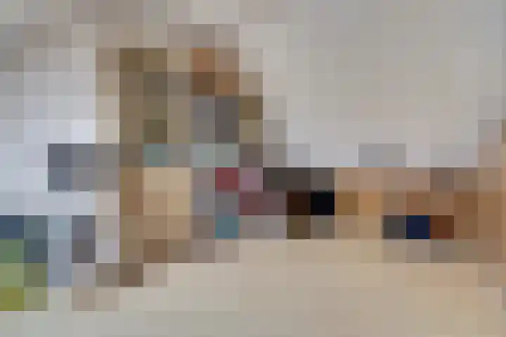 Steentijdkreek 9 Spijkenisse thumbnail 26