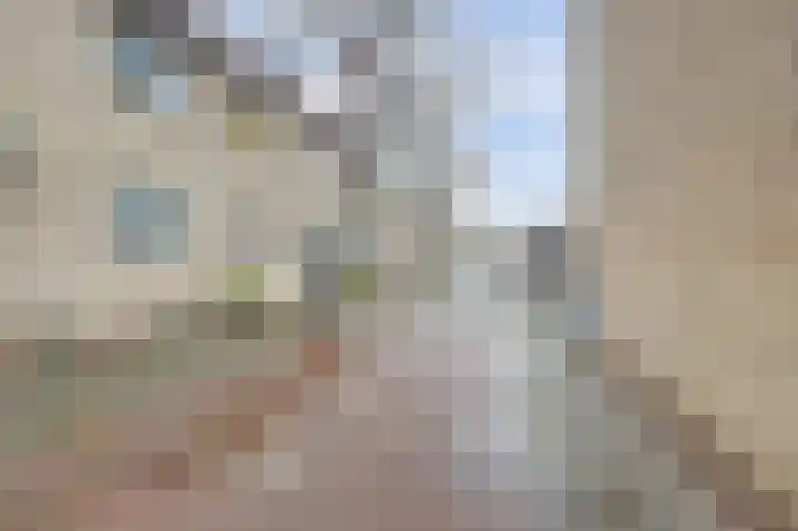 Steentijdkreek 9 Spijkenisse thumbnail 27