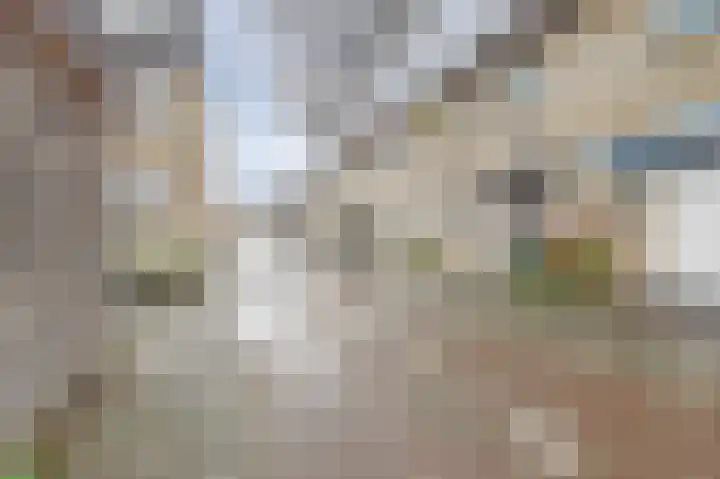 Steentijdkreek 9 Spijkenisse thumbnail 28