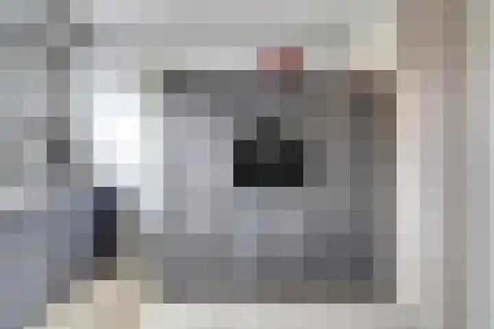 Steentijdkreek 9 Spijkenisse thumbnail 4