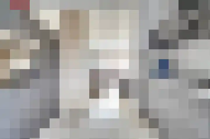 Steentijdkreek 9 Spijkenisse thumbnail 6
