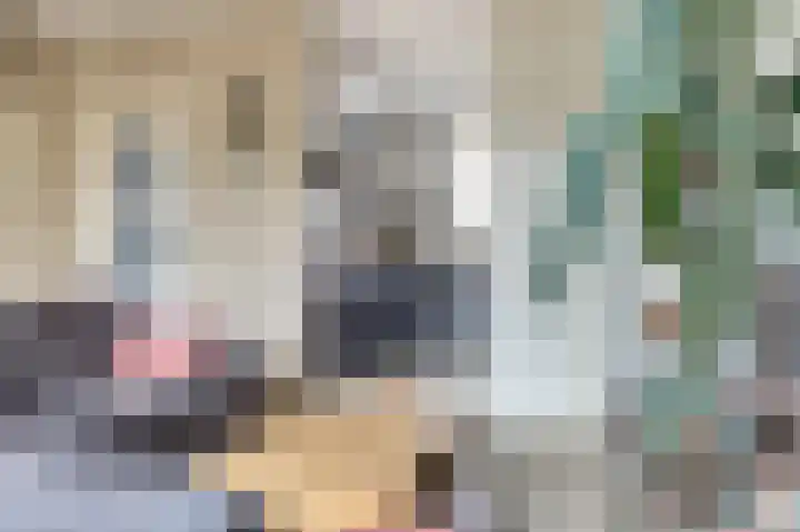 Steentijdkreek 9 Spijkenisse thumbnail 7