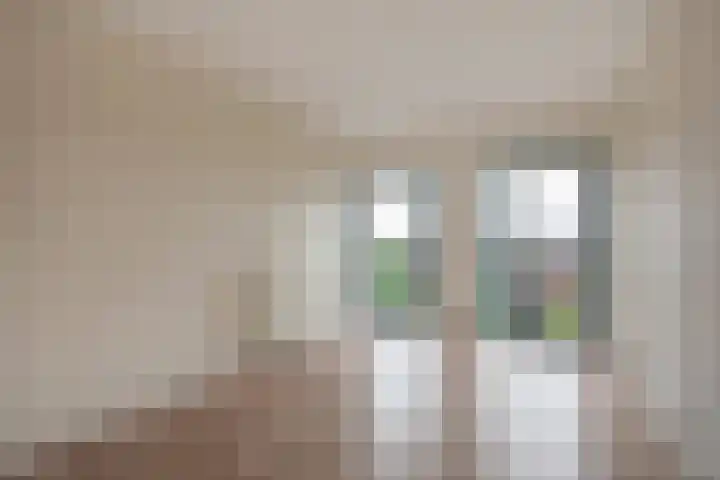 Steentijdsingel 102 Den Haag thumbnail 18