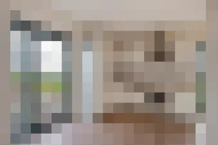 Steentijdsingel 102 Den Haag thumbnail 4