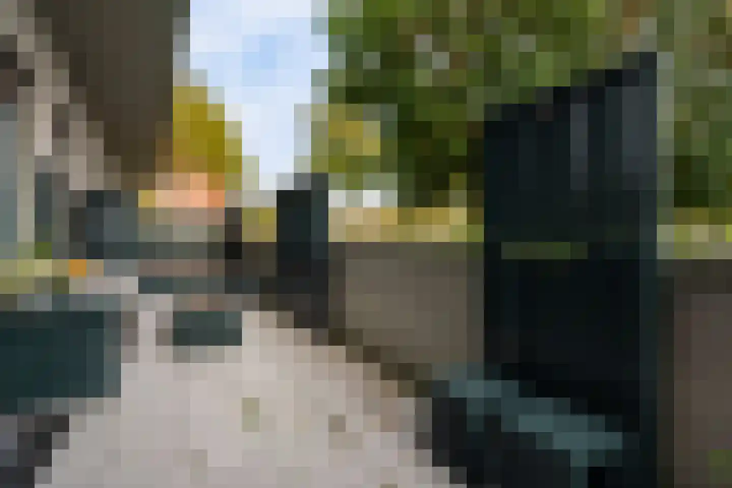 Steentijdsingel 119 Den Haag thumbnail 22
