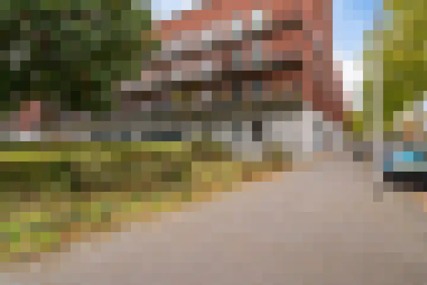 Steentijdsingel 119 Den Haag thumbnail 5
