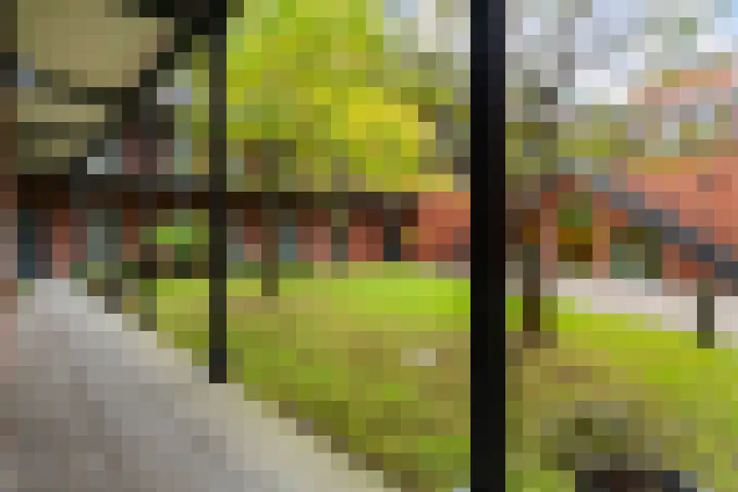 Steentijdsingel 119 Den Haag thumbnail 6