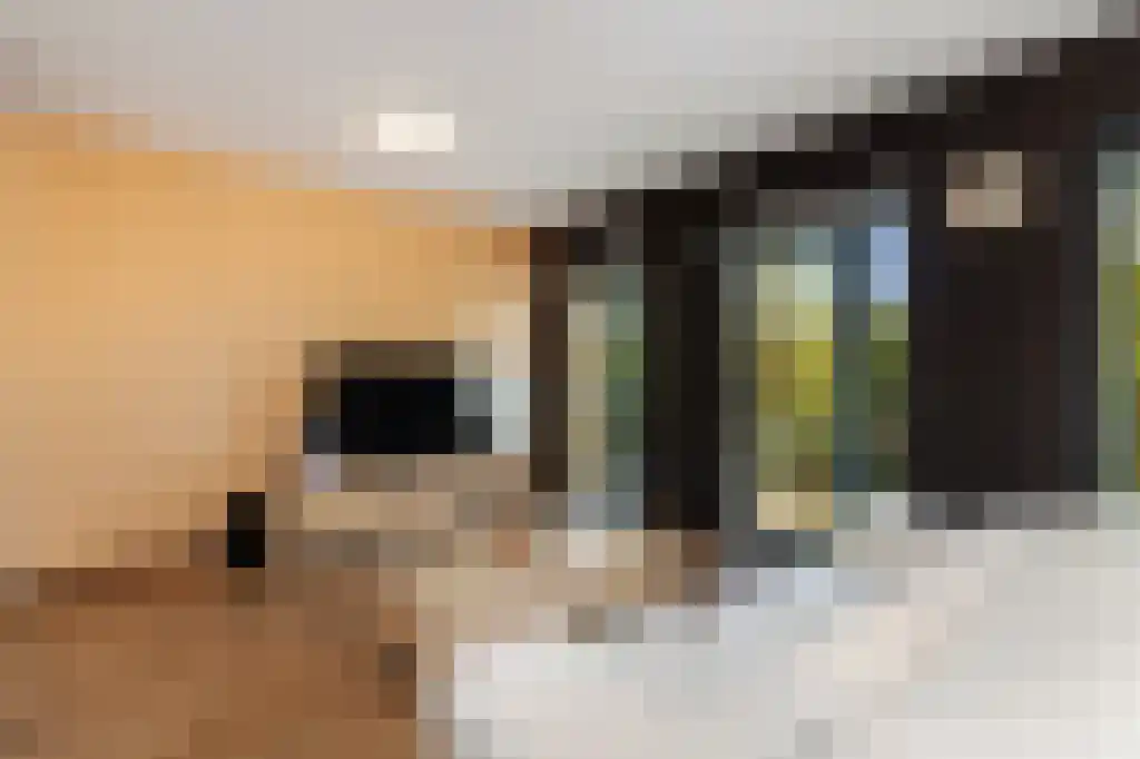 Steentijdsingel 126 Den Haag thumbnail 5