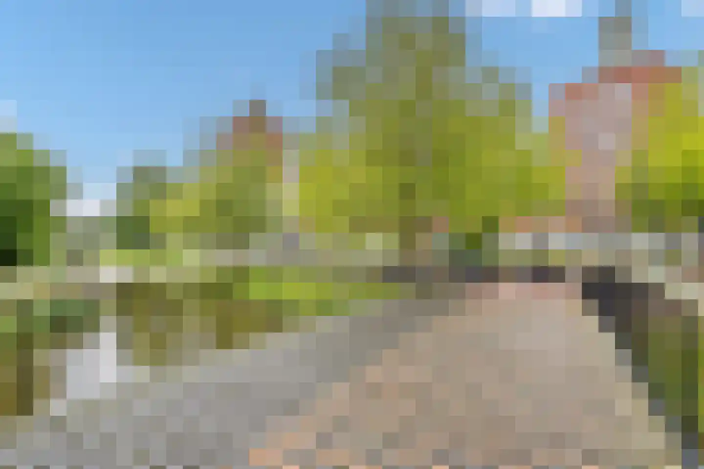 Steentijdsingel 133 Den Haag thumbnail 26