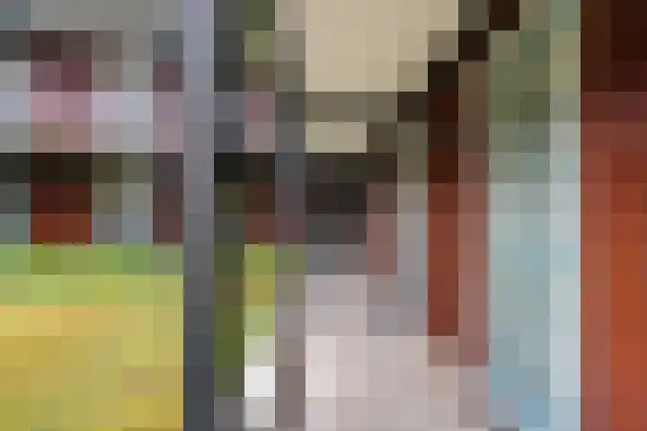 Steentijdsingel 63 Den Haag thumbnail 12