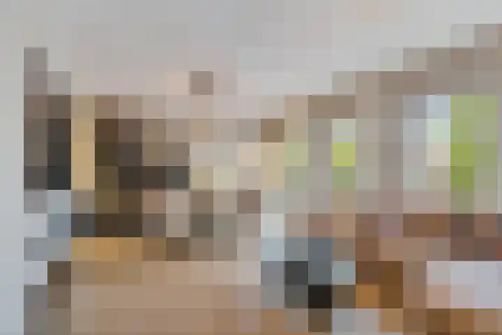 Steentijdsingel 63 Den Haag thumbnail 17