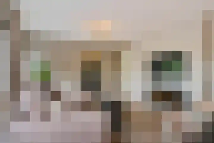 Steentijdsingel 63 Den Haag thumbnail 21