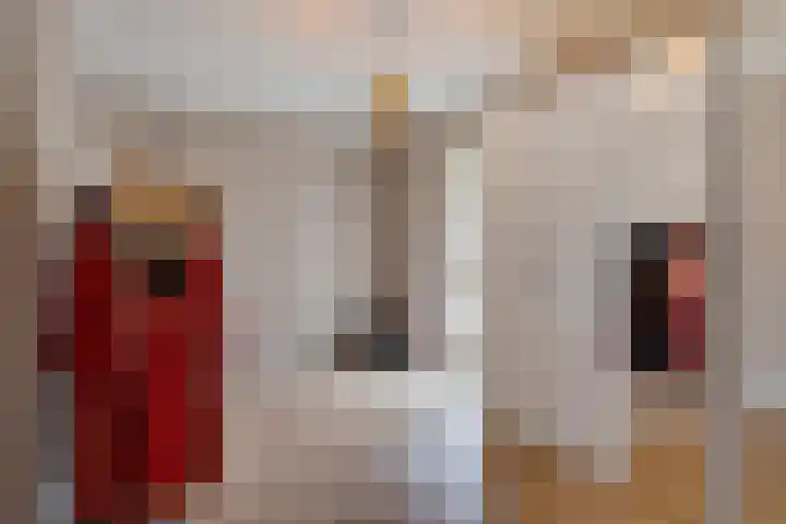 Steentijdsingel 63 Den Haag thumbnail 37