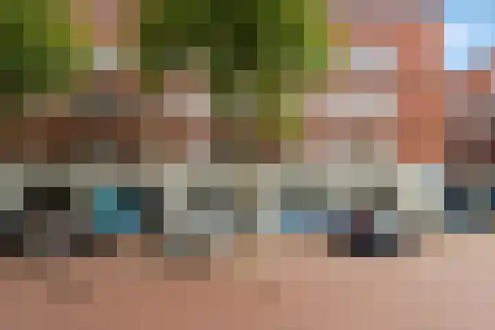 Steentijdsingel 63 Den Haag thumbnail 4