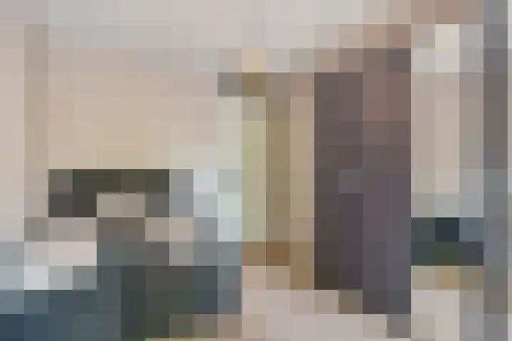 Steentijdsingel 63 Den Haag thumbnail 48