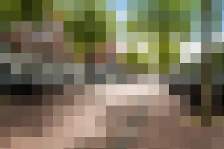 Steentijdsingel 63 Den Haag thumbnail 6