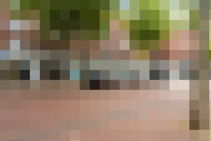 Steentijdsingel 63 Den Haag thumbnail 8
