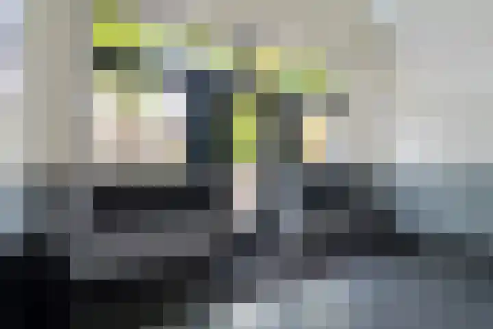 Steentijdsingel 63 Den Haag thumbnail 9