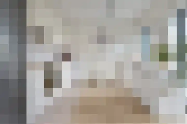 Steentijdsingel 85 Den Haag thumbnail 12