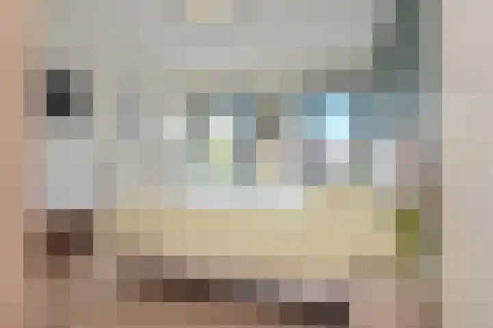 Steentijdsingel 85 Den Haag thumbnail 14