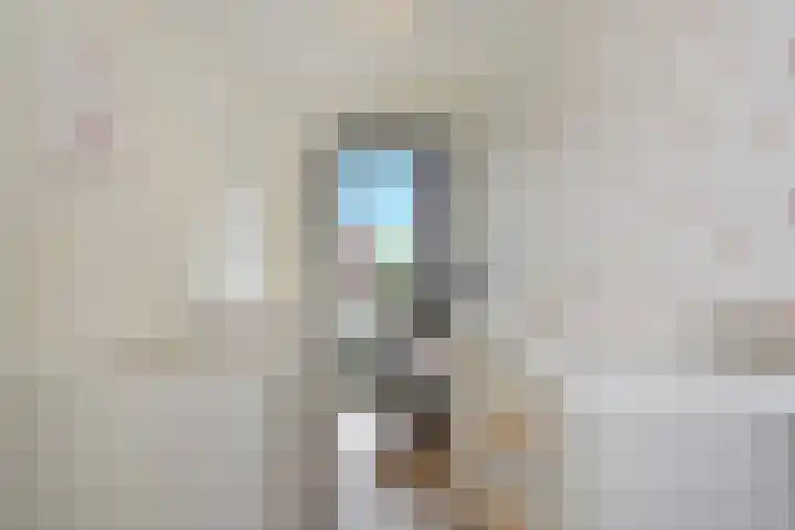 Steentijdsingel 85 Den Haag thumbnail 18