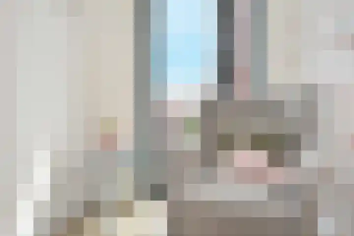 Steentijdsingel 85 Den Haag thumbnail 19