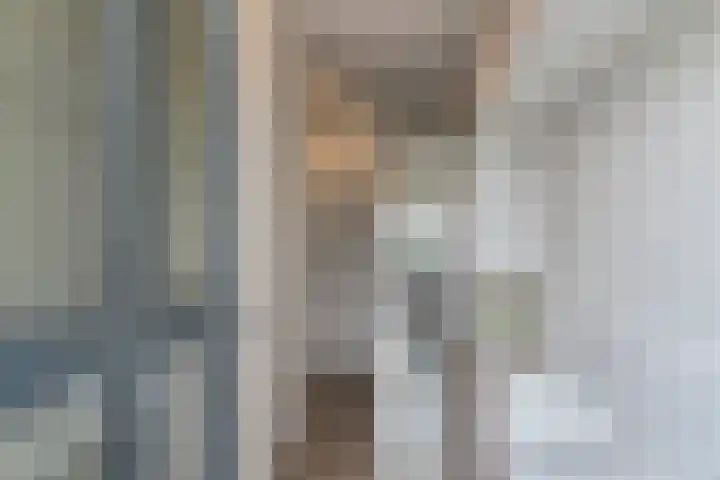 Steentijdsingel 85 Den Haag thumbnail 30