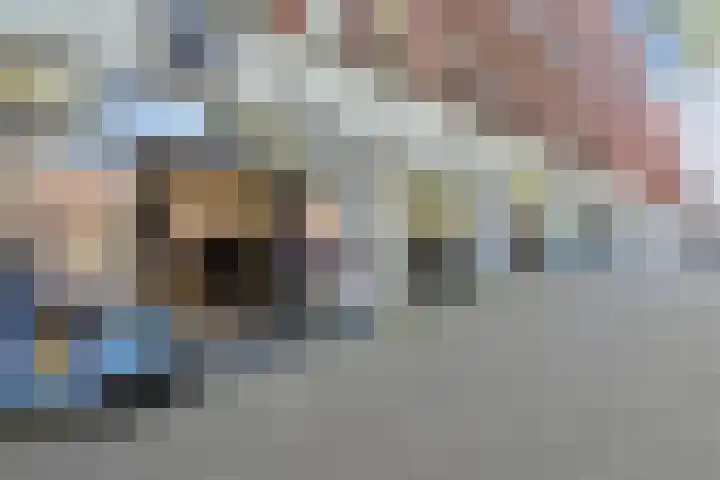 Steentijdsingel 85 Den Haag thumbnail 34