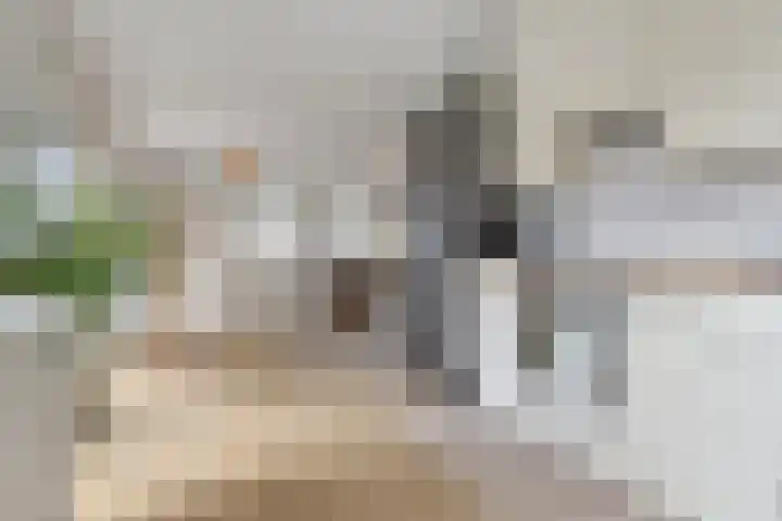 Steentijdsingel 85 Den Haag thumbnail 4