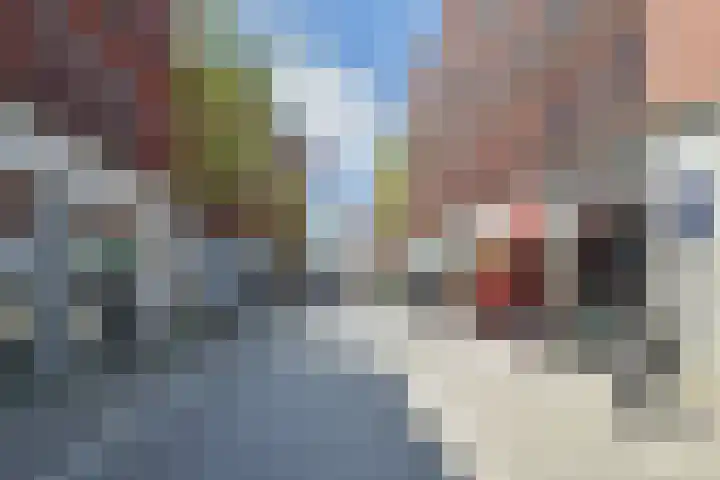Steentijdsingel 85 Den Haag thumbnail 42