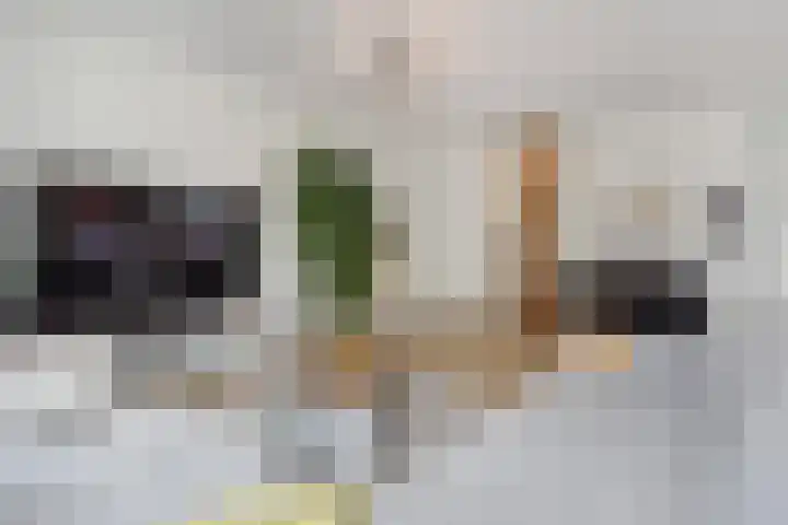 Steentijdsingel 85 Den Haag thumbnail 5