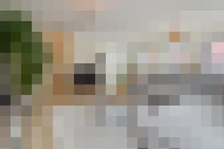 Steentijdsingel 85 Den Haag thumbnail 6