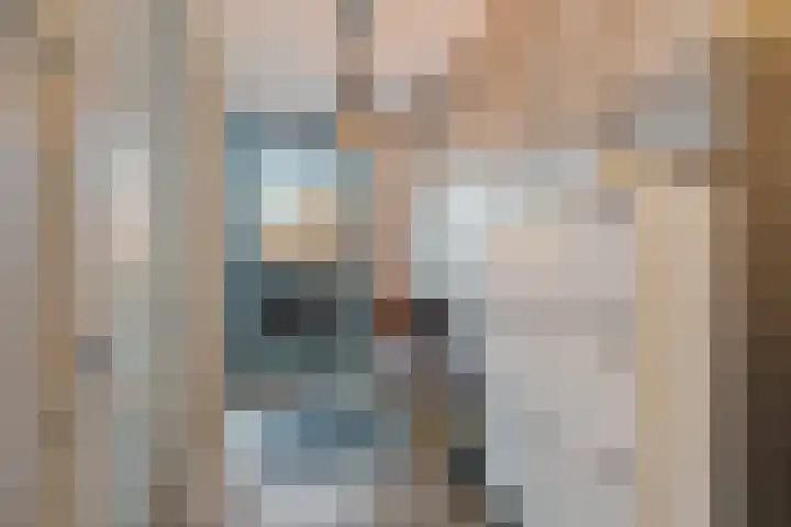 Steentijdsingel 86 Den Haag thumbnail 13