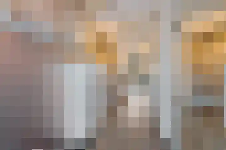 Steentijdsingel 86 Den Haag thumbnail 14