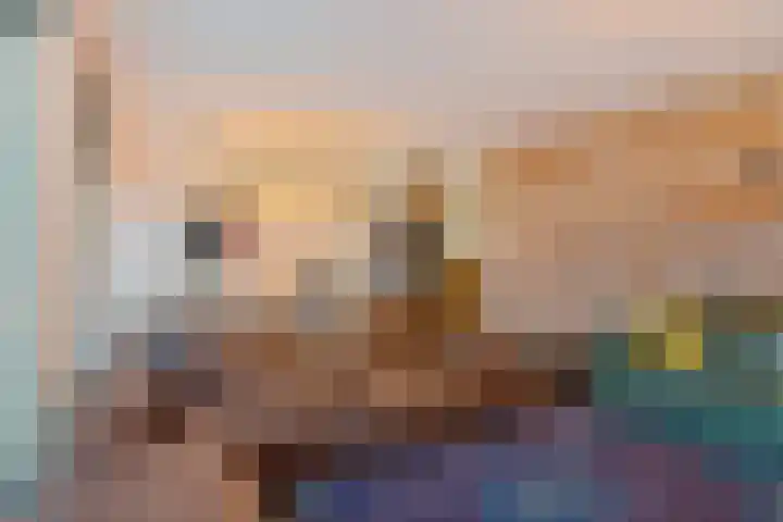 Steentijdsingel 86 Den Haag thumbnail 16