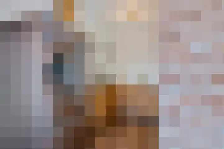 Steentijdsingel 86 Den Haag thumbnail 21