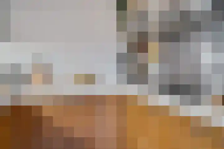 Steentijdsingel 86 Den Haag thumbnail 22