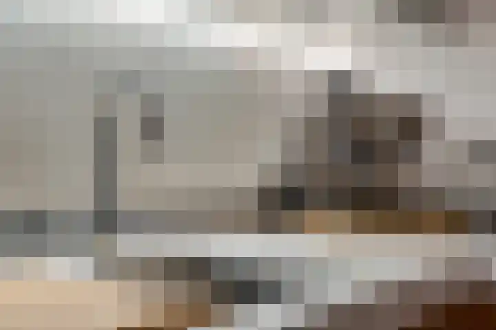 Steentijdsingel 86 Den Haag thumbnail 25