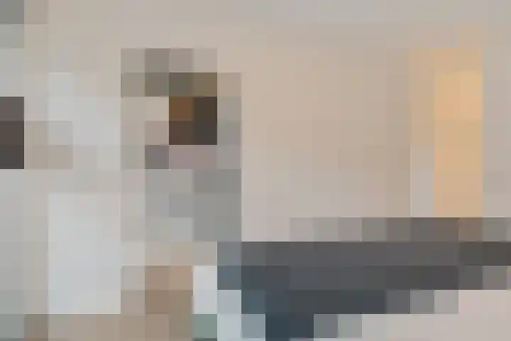 Steentijdsingel 86 Den Haag thumbnail 29