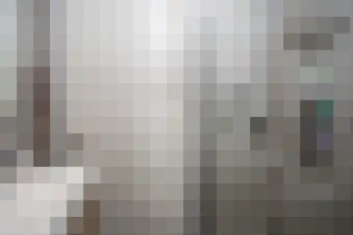 Steentijdsingel 86 Den Haag thumbnail 35
