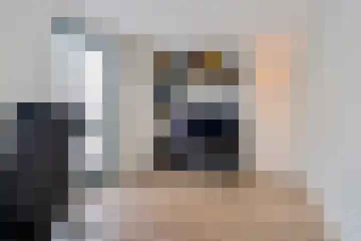 Steentijdsingel 86 Den Haag thumbnail 40