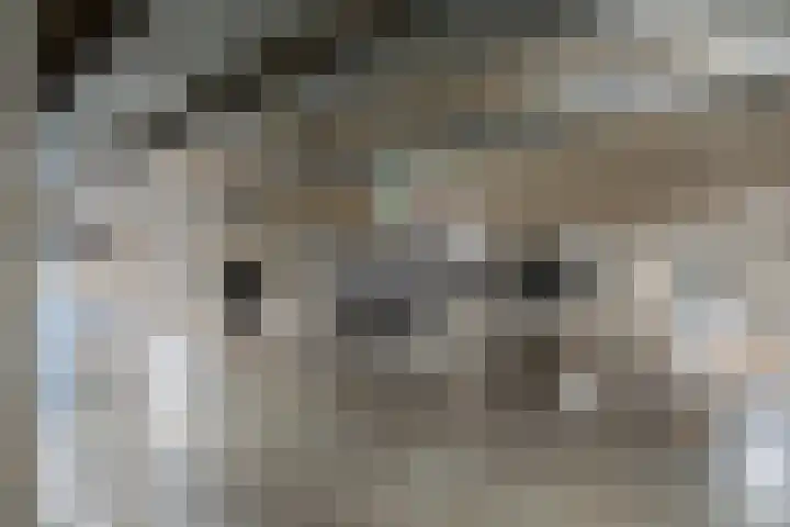 Steentijdsingel 86 Den Haag thumbnail 42