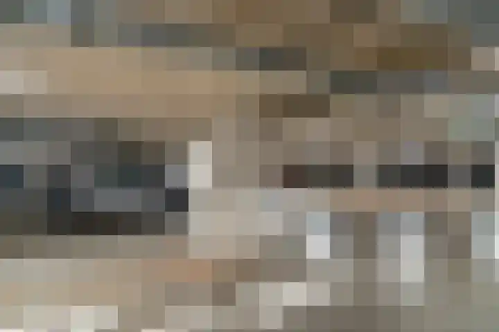 Steentijdsingel 86 Den Haag thumbnail 43