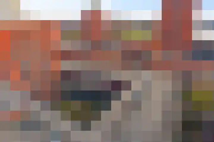Steentijdsingel 86 Den Haag thumbnail 7