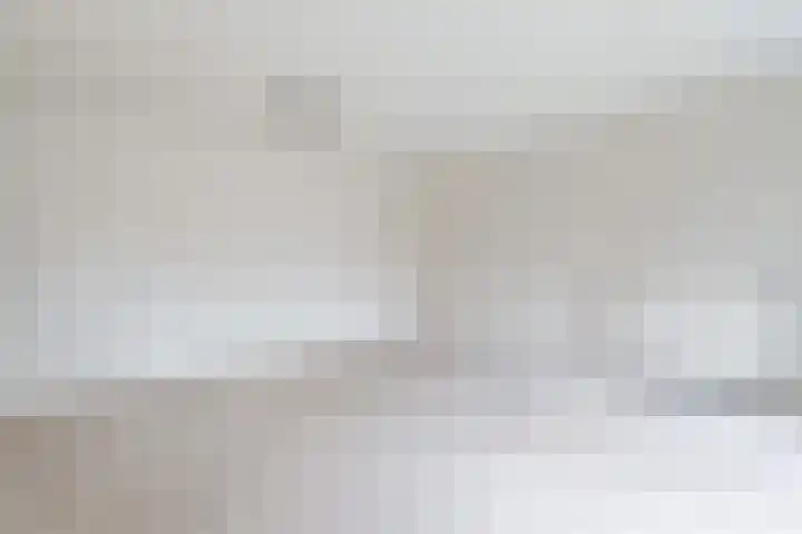 Steentijdsingel 97 Den Haag thumbnail 20