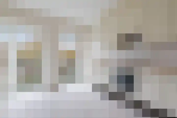 Steentijdsingel 97 Den Haag thumbnail 24