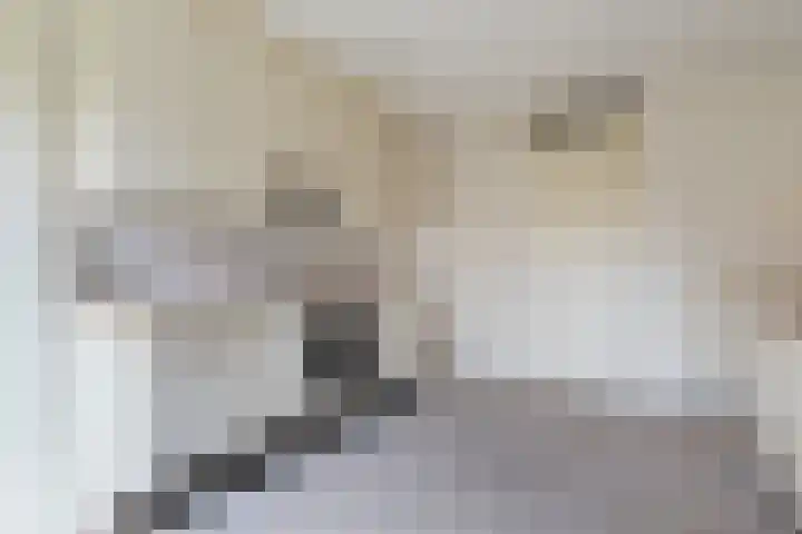 Steentijdsingel 97 Den Haag thumbnail 25
