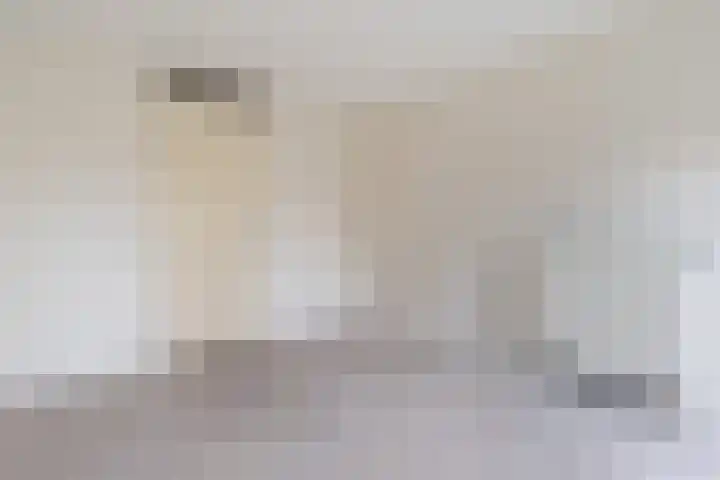 Steentijdsingel 97 Den Haag thumbnail 34