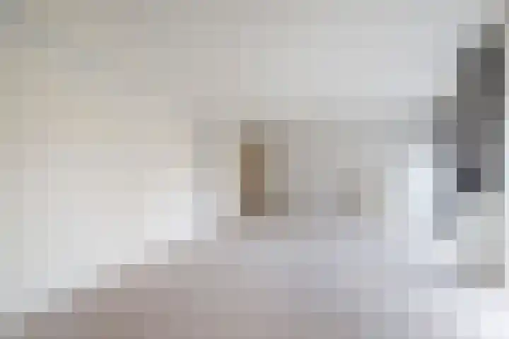 Steentijdsingel 97 Den Haag thumbnail 39